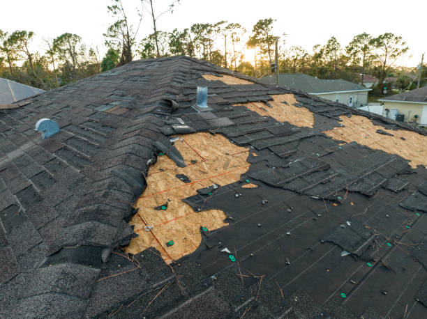 Best Roof Coating Services  in Holgate, OH