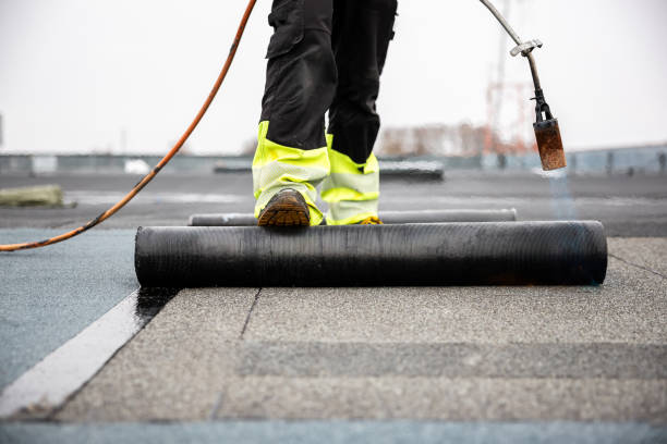Best Asphalt Shingle Roofing  in Holgate, OH
