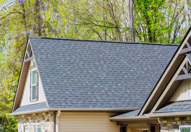 Best Roof Coating and Sealing  in Holgate, OH