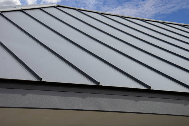 Best Roof Waterproofing  in Holgate, OH