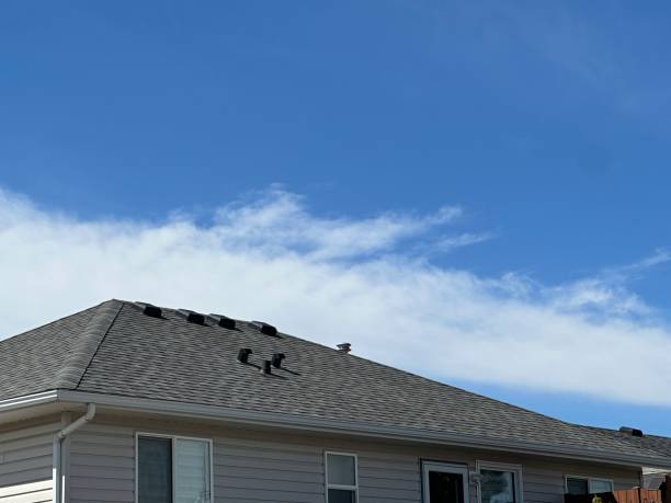 Best Storm Damage Roof Repair  in Holgate, OH